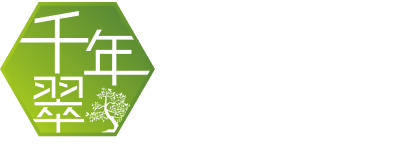 千年翠 箱庭｜舞鶴市の造園・外構 – 緑とともに暮らす庭づくり