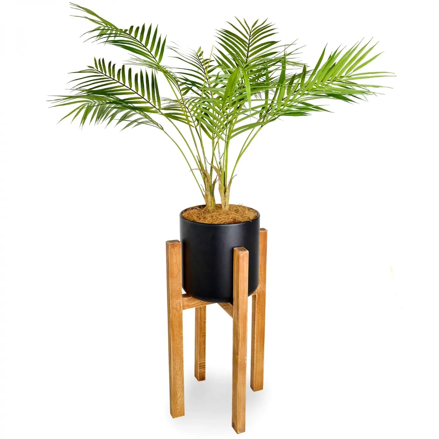 レンタルグリーン｜小型サイズ