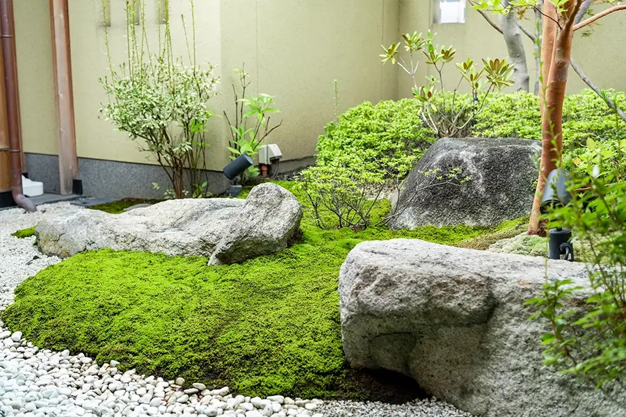 自然と暮らしをつなぐ、あなただけの庭づくり