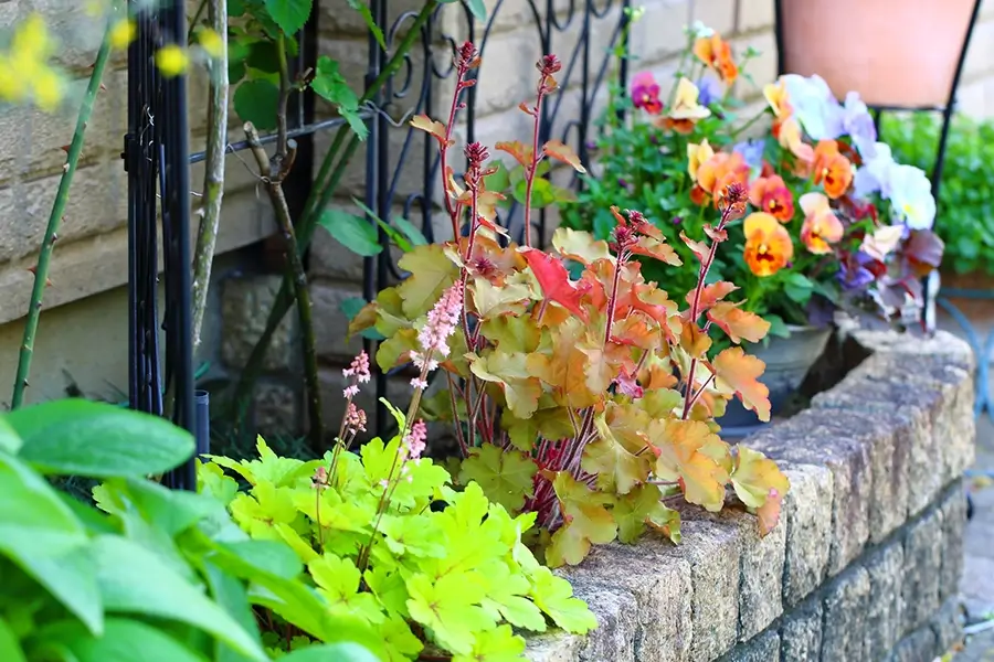 四季と調和する、美しい緑の設計