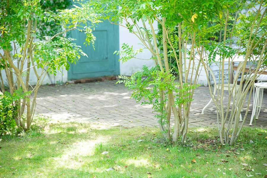 土地と建物に調和する、最適な植栽デザイン