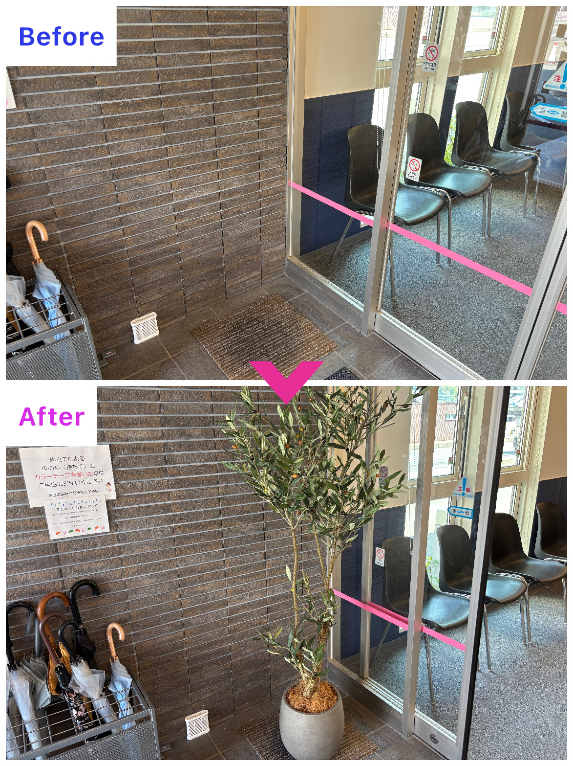 舞鶴市｜Ｓクリニック様　レンタルグリーン設置