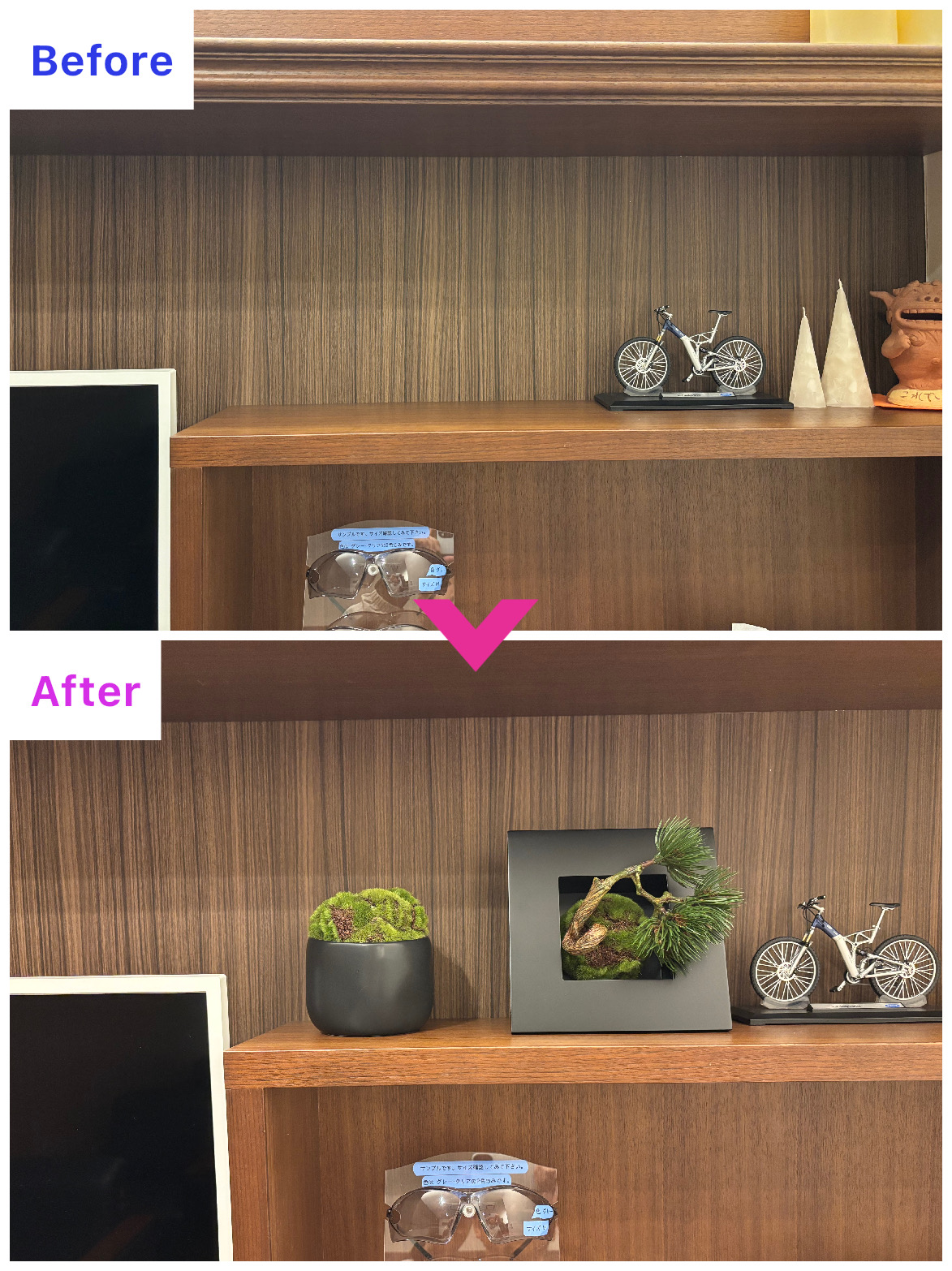 舞鶴市｜Ｓクリニック様　レンタルグリーン設置