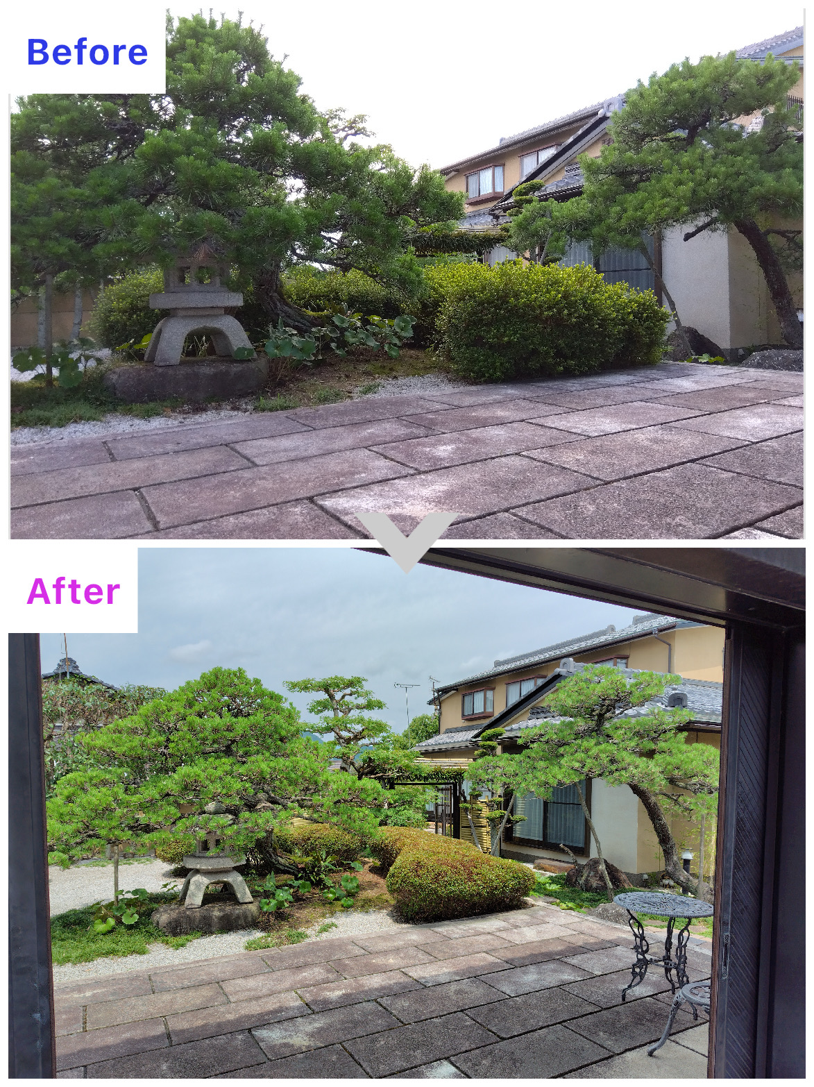 舞鶴市｜Ｉ様邸　お庭剪定